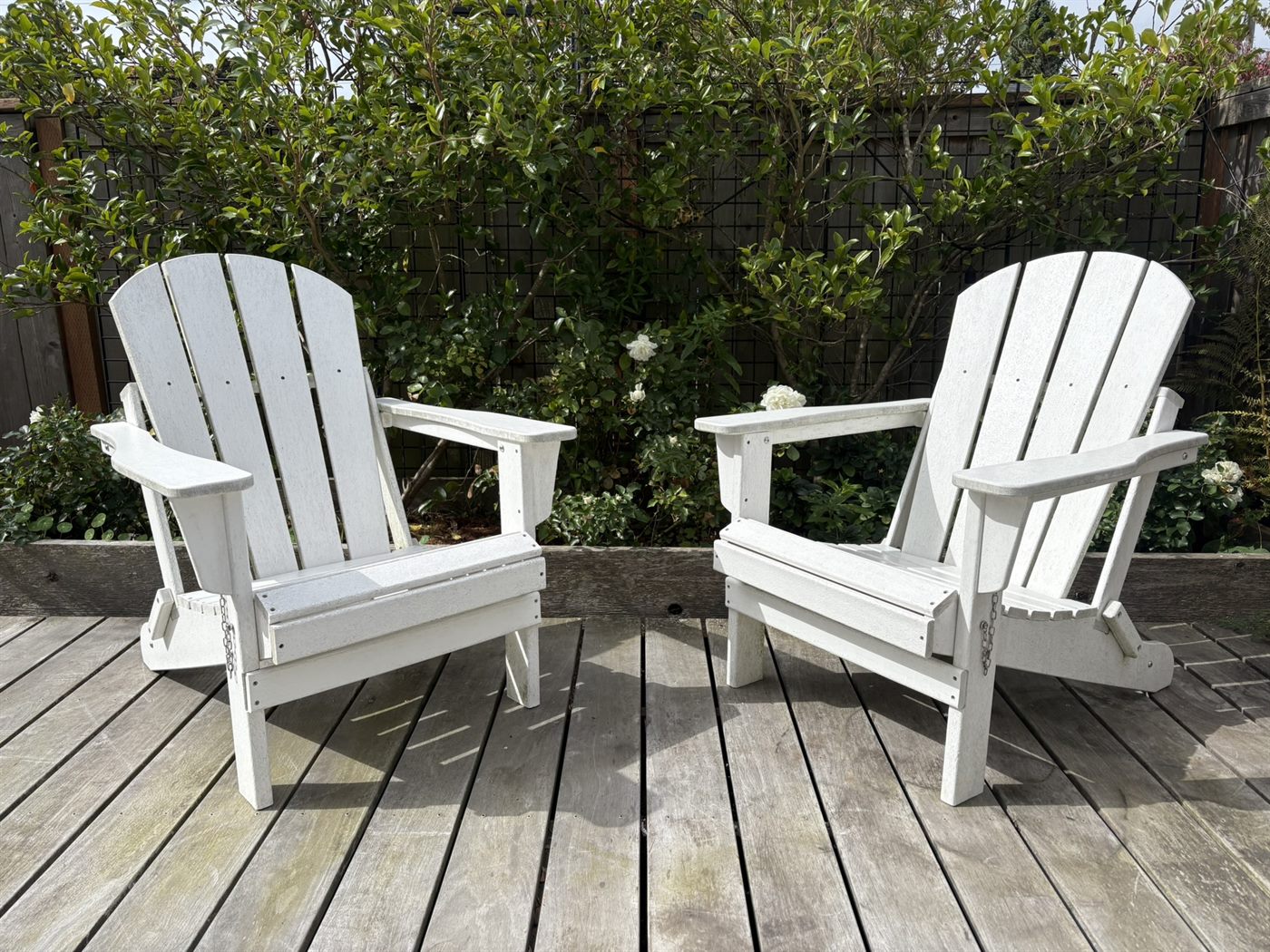 Two white Adirondack chairs on a wood deck in front of a flowering hedge