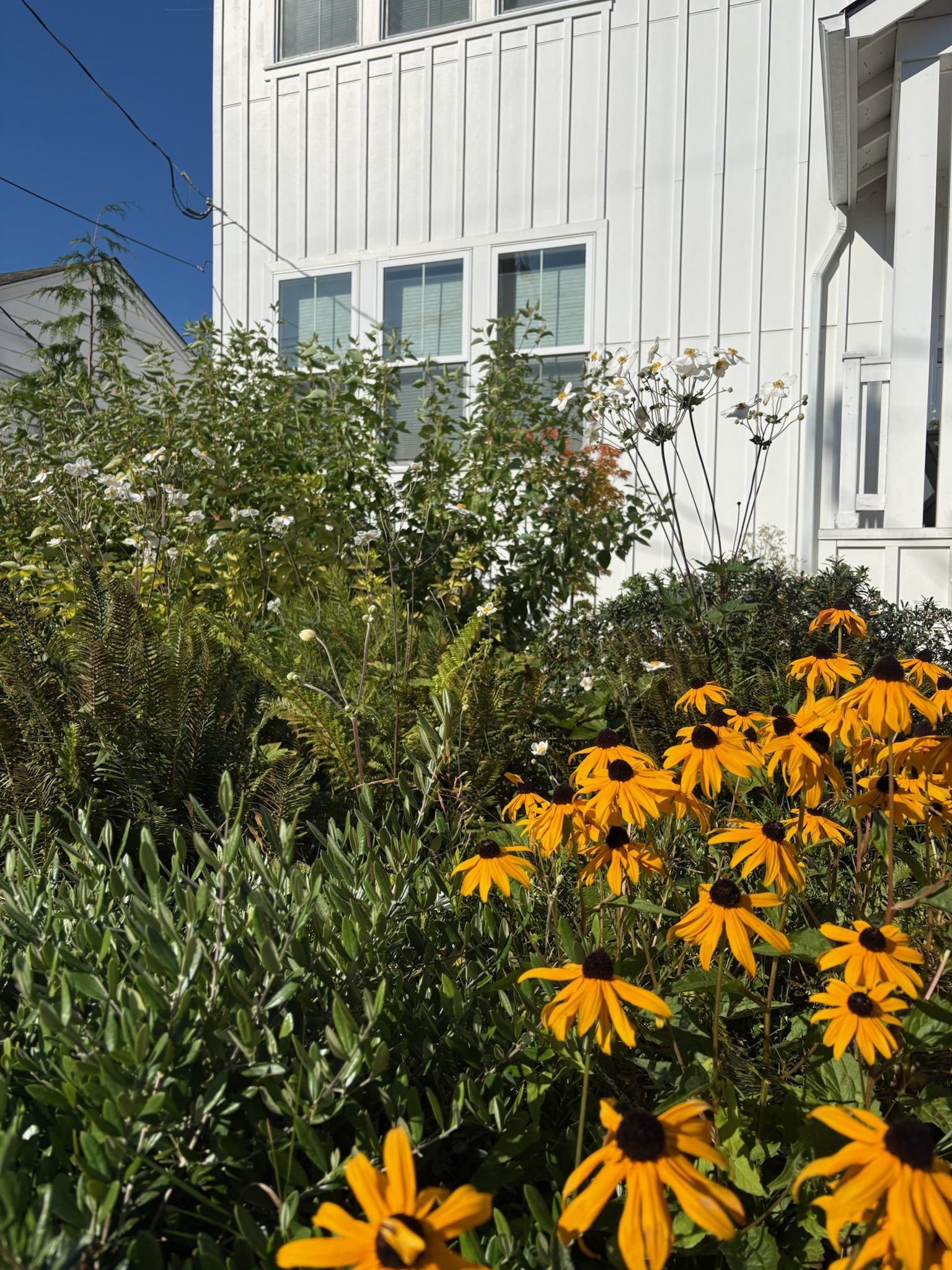 Garden planting detail