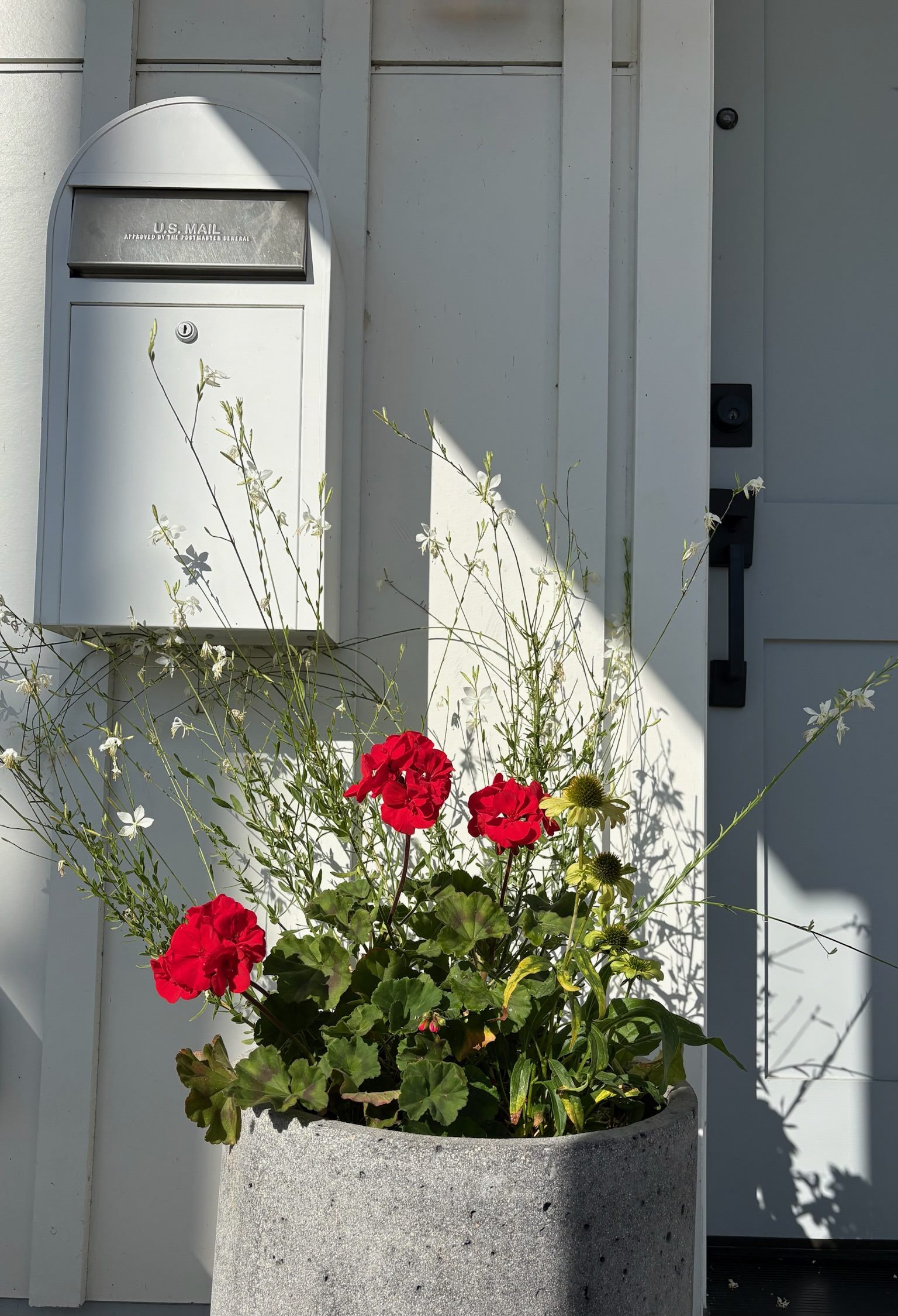 Entryway planter with geraniums